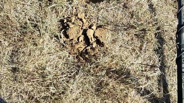 Поиск с металлоискателем Gauss MD.Порадовали находки,особенно античная монета 4 века до н.э. ЧАСТЬ смотреть онлайн