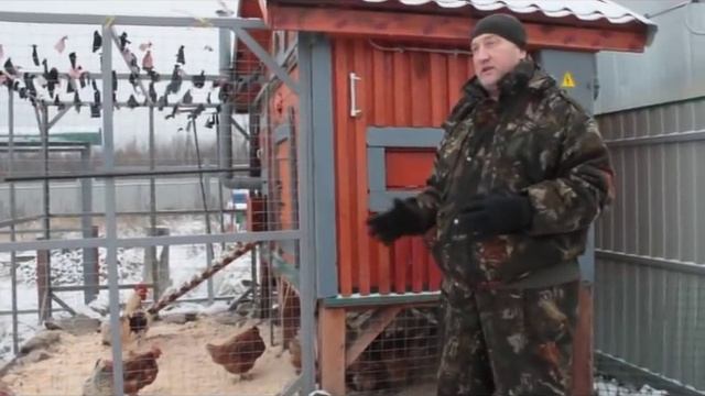 Зимнее освещение курятника.