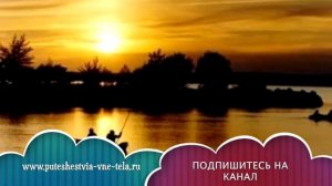 СОННИК - Рыба