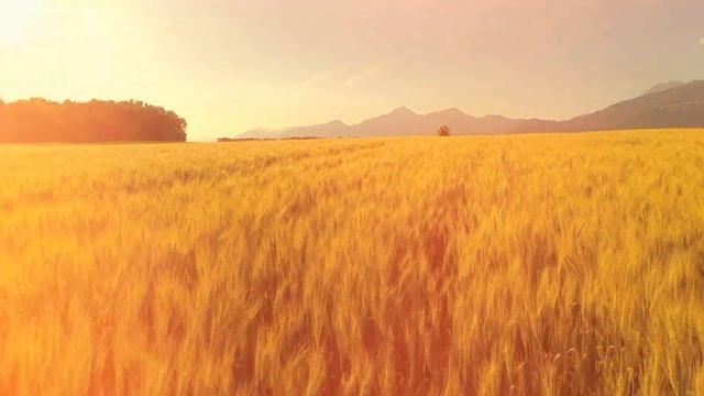 Еда которую почтил сам Всевышний Аллах смотреть онлайн