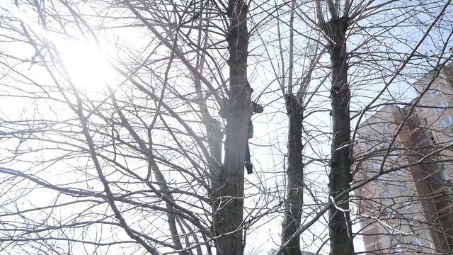 Человек-Скворечник.Что произошло 20 лет назад? смотреть онлайн