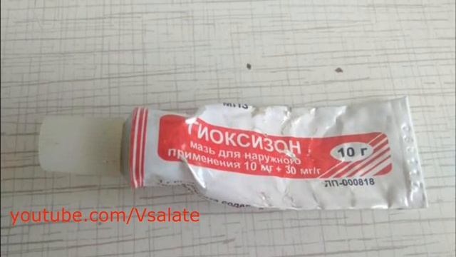 КАК Я ИЗБАВИЛАСЬ ОТ ПРЫЩЕЙ ЗА ОДНУ НОЧЬ.