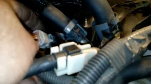 Лексус ЛС 460 установка ГБО (видео отчет)