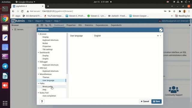 pgAdmin4 Open Source Development Online смотреть онлайн
