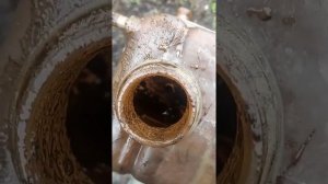 Лачетти - не греется редуктор ГБО, конечно, в системе охлаждения УЖАС!!!