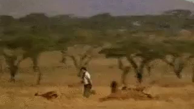 Мужу разрешили завести любовницу если антилопа выживет смотреть онлайн