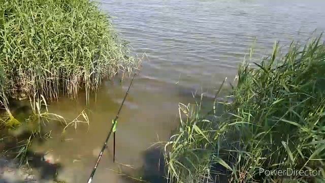 Рыбалка с ребенком. п.Усть-Койсуг. Дамба. смотреть онлайн