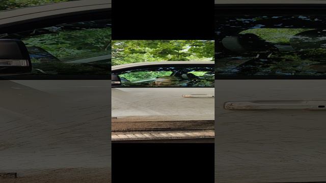 VID_20240724_142653.mp4