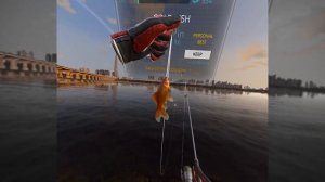 Real VR Fishing | First Standalone Gameplay on Pico 4