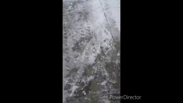 Дело с динго завершено)) смотреть онлайн