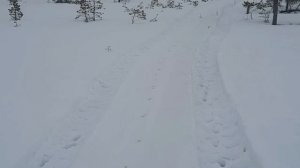 Подготовка к весенней охоте 2022.Пробиваемся по болоту на вездеходе