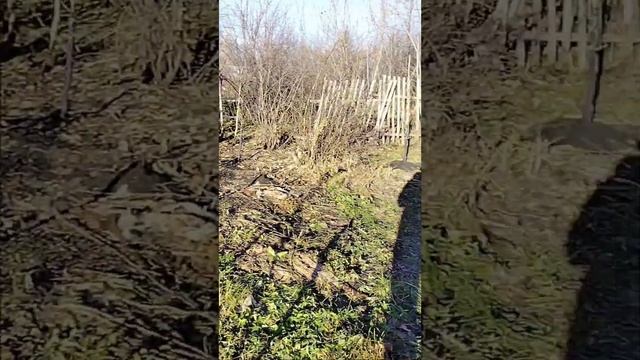 Сезон закрыт смотреть онлайн