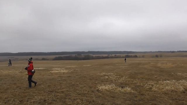 Слава и Глазурь 1 круг курсинг смотреть онлайн