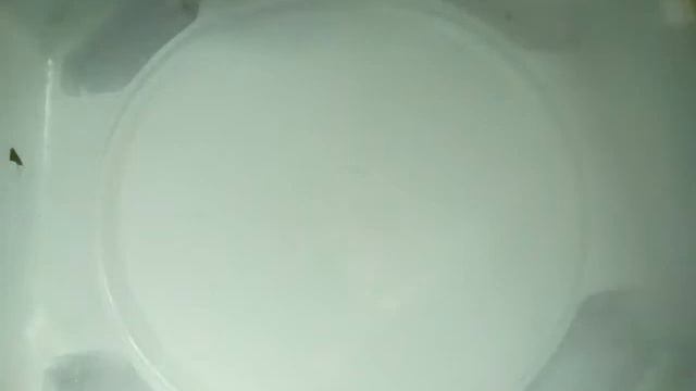 НЕЕЕЕЕТ ВАЛЬКИРИЯ ЧОУ ЗЕТ ВЗОРВАЛАСЬ ОТ ДЕД ХЕДИСА КУЧА ВЗЫРОВ СМОТРЕТЬ ВСЕМ!!!!!! #димаBurst. смотреть онлайн