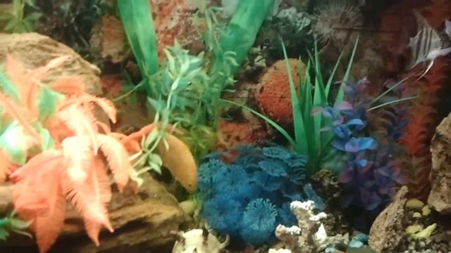 Аквариум 140 л. смотреть онлайн