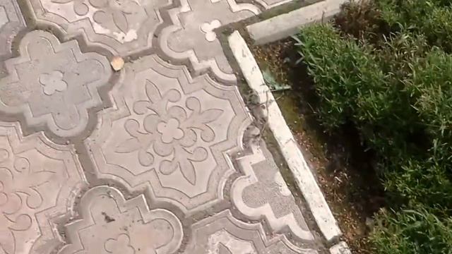 Ловля матки смотреть онлайн