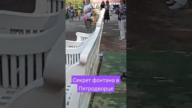 Петергоф. Секрет фонтана у дворца Монплезир #питергоф #петродворец #царьроссии #романовы #гатчина