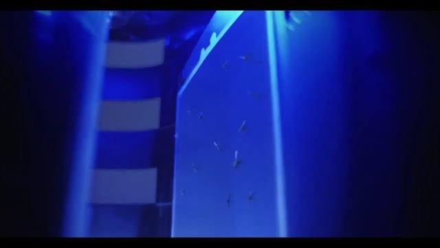 SHARP – PLASMACLUSTER AIR PURIFIER WITH MOSQUITO CATCHER – KIDS FRIENDLY BY HEAP SENG GROUP смотреть онлайн