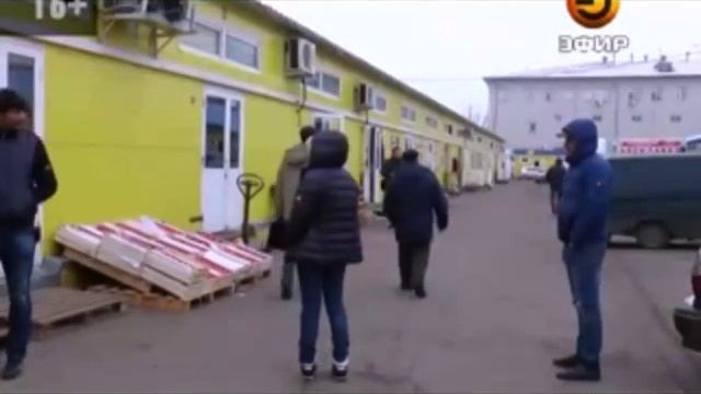 Можно ли заразиться эболой через импортные бананы? смотреть онлайн