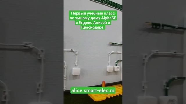 Обучение электриков монтажу и наладке умного дома AlphaSE с Яндекс Алисой