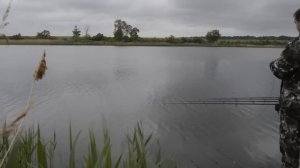 Ловля карпа в мае на озере Красивое