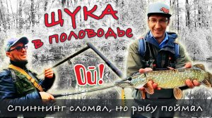 КАК ПОЙМАТЬ ЩУКУ на спиннинг осенью | Сломал удилище.... ЧТО теперь ДЕЛАТЬ?! | Спиннинг с берега