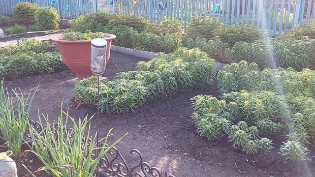 Первый день лета. смотреть онлайн