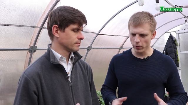 На каком расстоянии друг от друга сажать томаты? В сколько стеблей формировать? смотреть онлайн