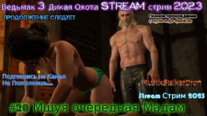 Ведьмак 3 Дикая Охота Stream стрим 2023 Полное прохождение #20 Мщуя очередная Мадам