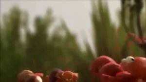 Короткий мультик со смыслом