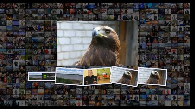 Люди любили это место глава района в Челябинской области осушил водохранилище назло пре смотреть онлайн