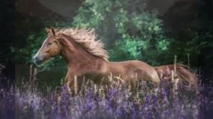 Мое настроение