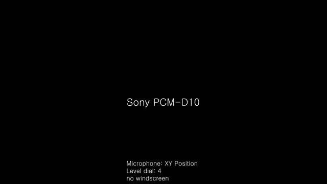 Sony PCM-D100 vs PCM-D10 _ Sound test