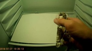 Нож-бабочка из бумаги (модель)