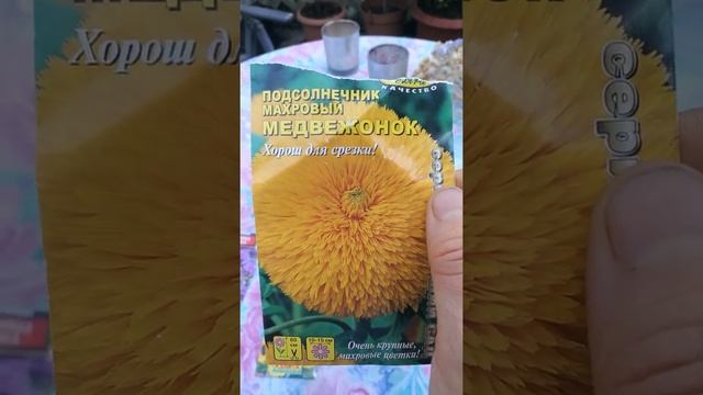 #СеменаЦветы#АэлитаСеменаЦветы#Лимониум#Ипомея#Подсолнух#Золушка#Медвежонок#Амарантус#Монарда