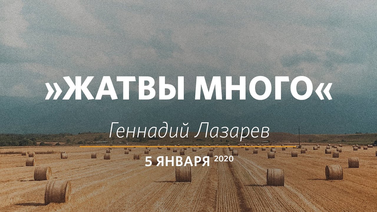 Место писания жатвы много а делателей мало.  9:37). Когда в норвегия урожай много. Жатвы много. Жатвы много делателей мало евангелие.