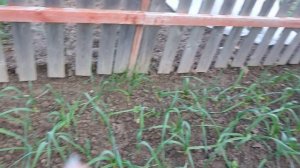 Морозное утро 05:45 6 мая 2023