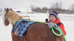 Необходимая работа с лошадью для удобной езды. Боковые сгибания.