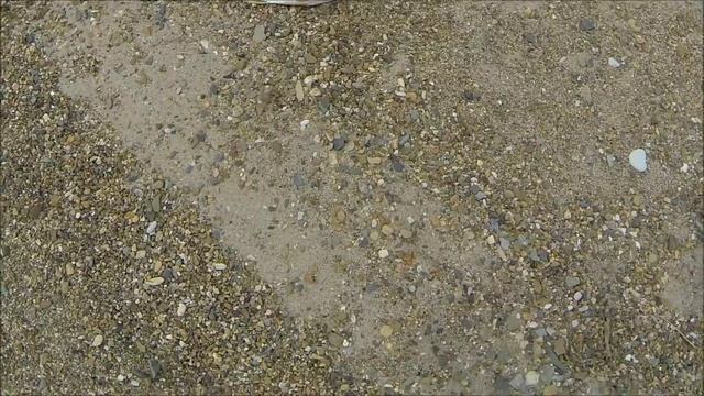 Подарки Дедушки Зайсана, август 2015 год смотреть онлайн