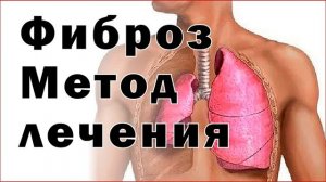 О «Ковчеге здоровья» и о себе - About the "Ark of Health" and about myself
