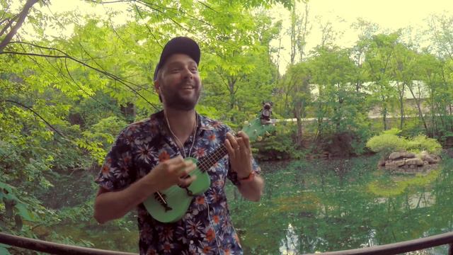 Green Day - Pulling Teeth (acoustic ukulele cover) смотреть онлайн