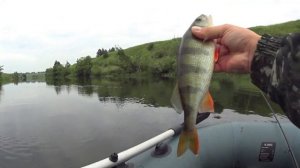 Отводной поводок по окуню. Рыбалка на р.Дон