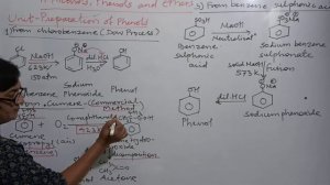 12th Chemistry Chapter11- Alcohols, phenols and ethers Unit-Prepration of phenols