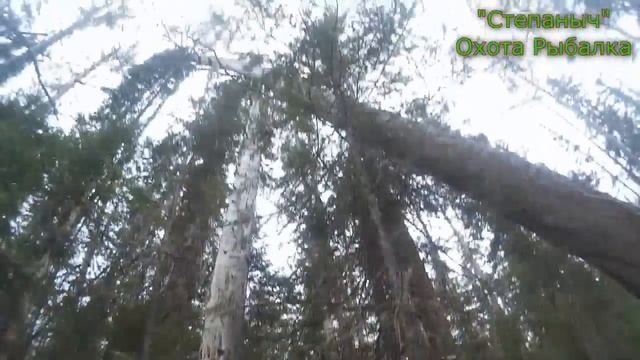 4 заезд Обходим путики Проверяем ловушки Соболь Наст (3 часть) 2 4 11 18 смотреть онлайн