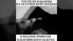 Кабардинская порода лошадей