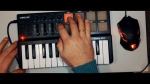 Worlde Panda MINI + FL Studio