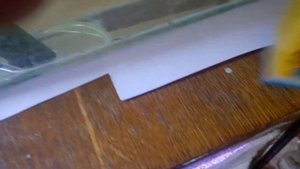 Забрал икру у скалярий