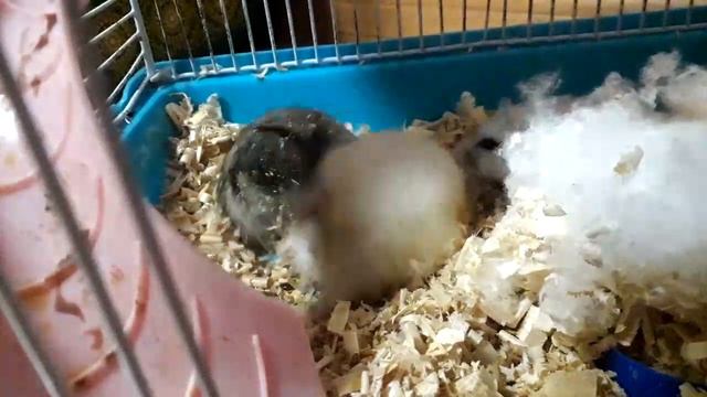 когда мама не пускает погулять на улицу смотреть онлайн