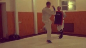 Кёкусин Будокай Кан Каратэ