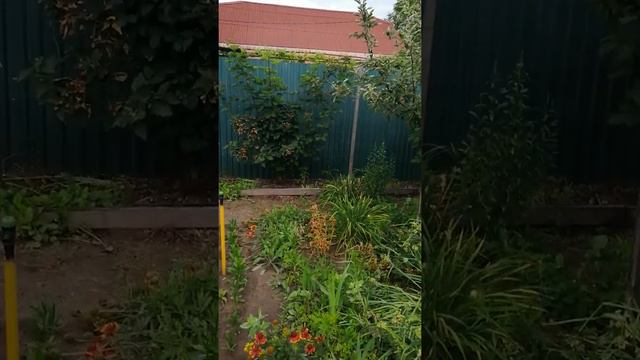 22 сентября 2022 г. смотреть онлайн